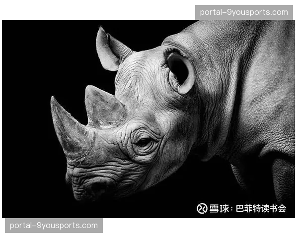 经济深度：全球通胀下，入门级山地自行车价格普涨对市场渗透率的影响